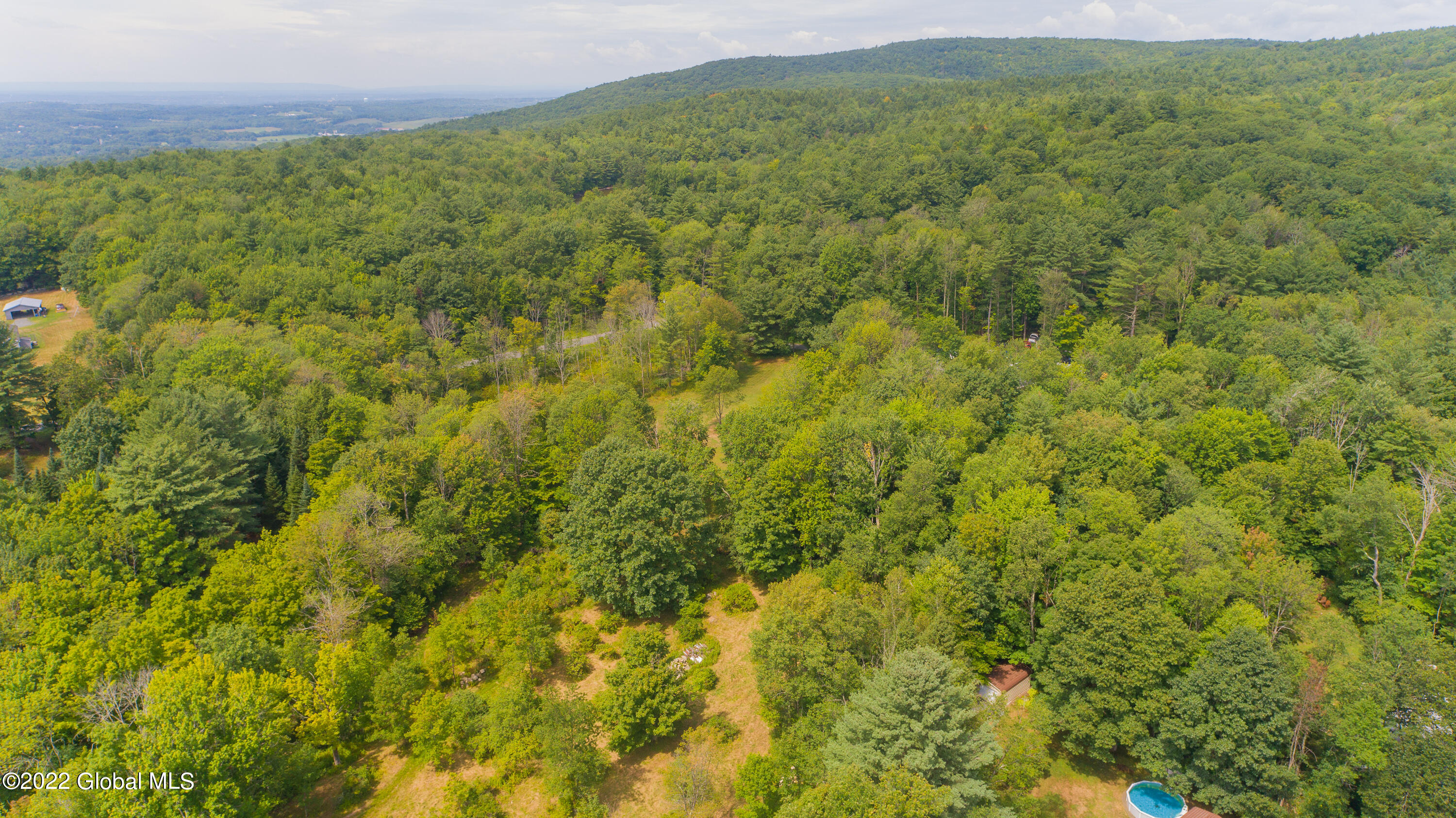 313 Columbia Hill Road Poestenkill, NY 12018 - Photo 76 of 98 Aerial 24