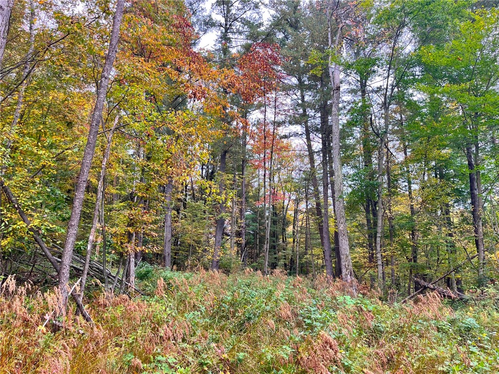 2856 Zimmer Road Scio, NY 14880 - Photo 37 of 50