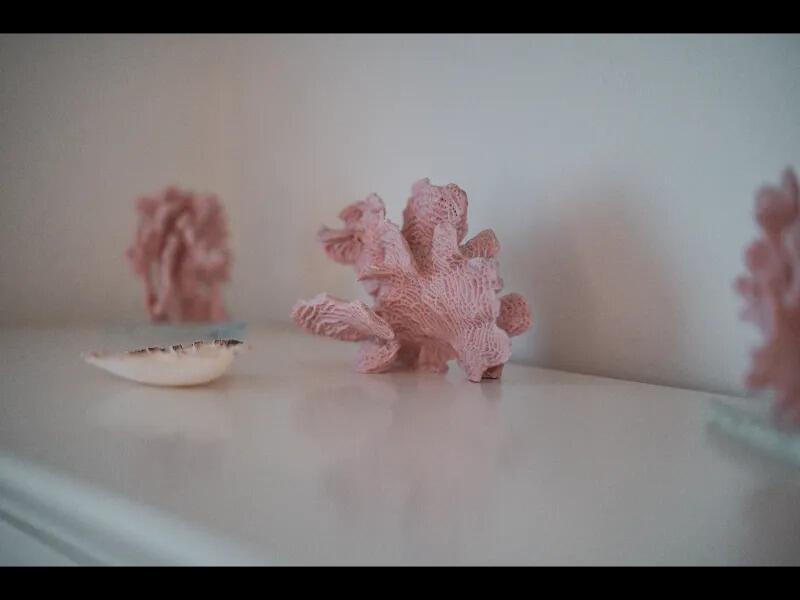 70 Eucalyptus Lane Santa Barbara, CA 93108 - Photo 30 of 47