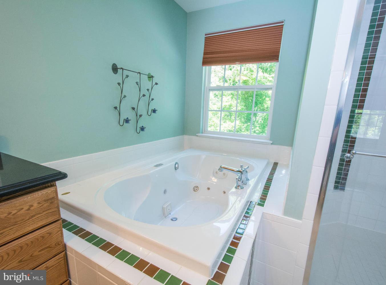 11207 Poplar Grove Court Laurel, MD 20708 - Photo 21 of 30 Bath (Master)