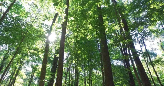 $720,000 | 0 Lasater Road, Clemmons, NC 27012