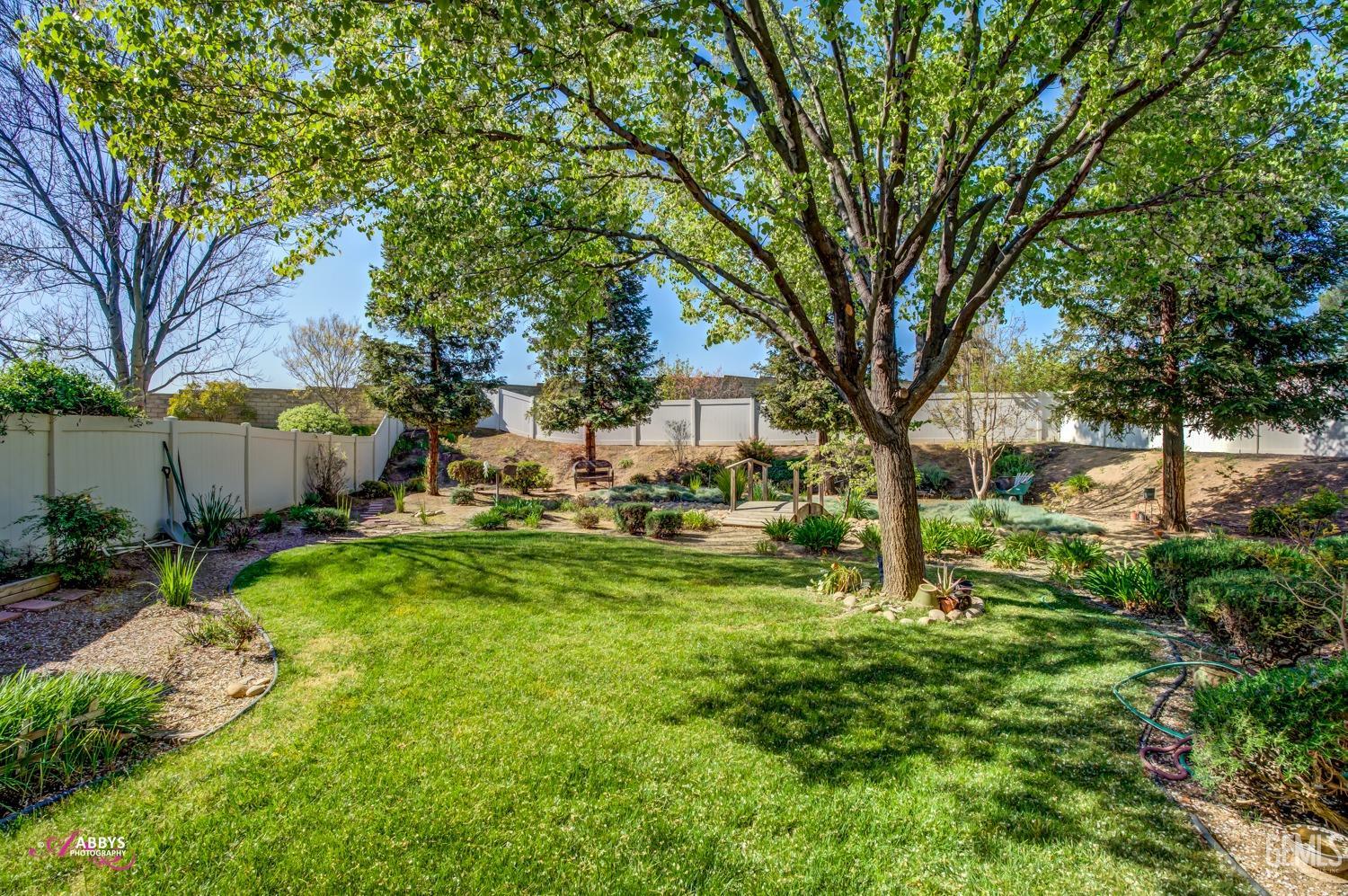 Undisclosed Address Bakersfield, CA 93306 - Photo 25 of 51 a view of backyard with tree