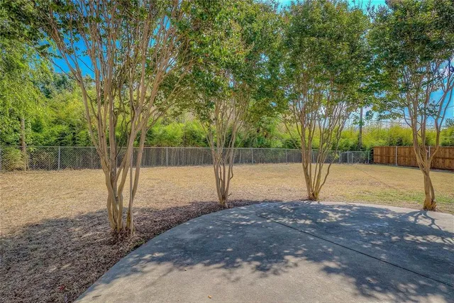 a view of a backyard with large tree and wooden fence