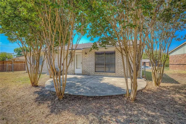 a view of a backyard with a tree