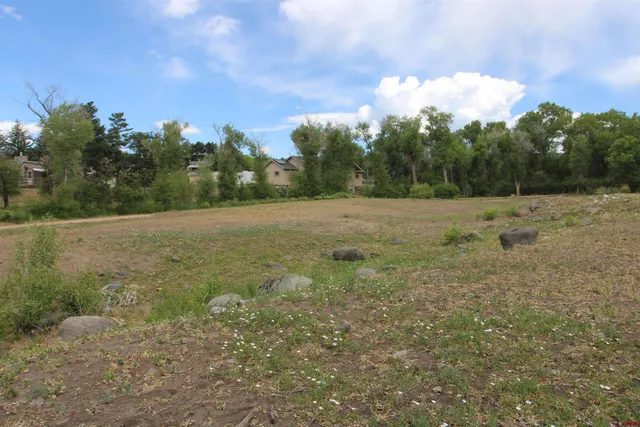 a view of a field with trees in the background