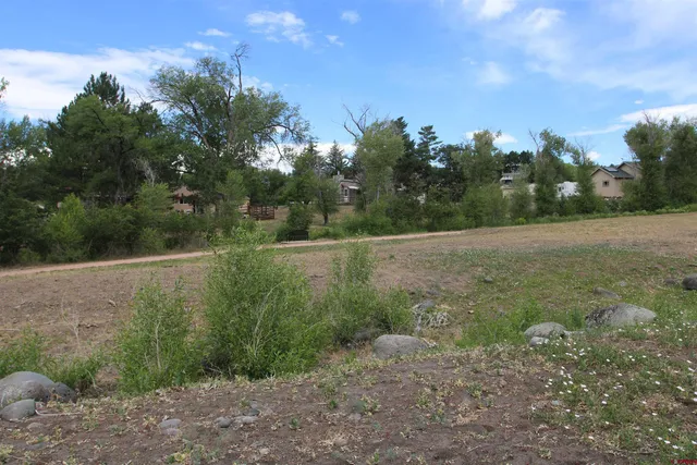 a view of a field with trees in background