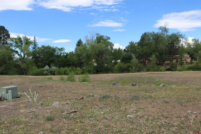 a view of dirt field with large trees