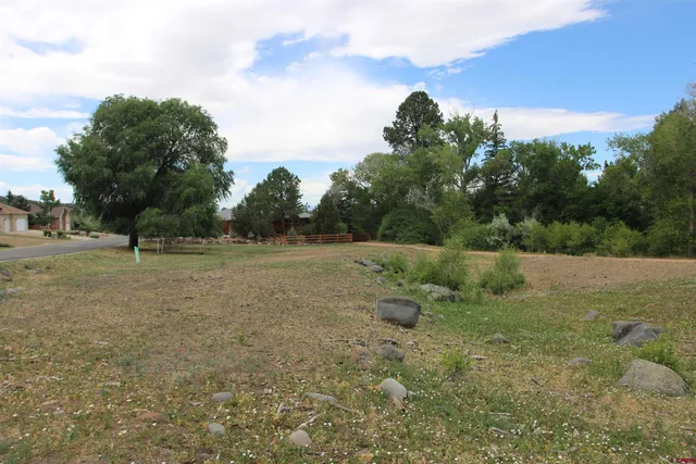 a view of outdoor space with trees