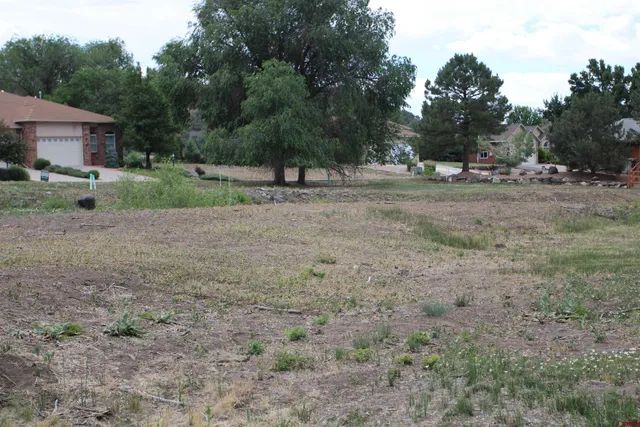 a view of a yard with a tree