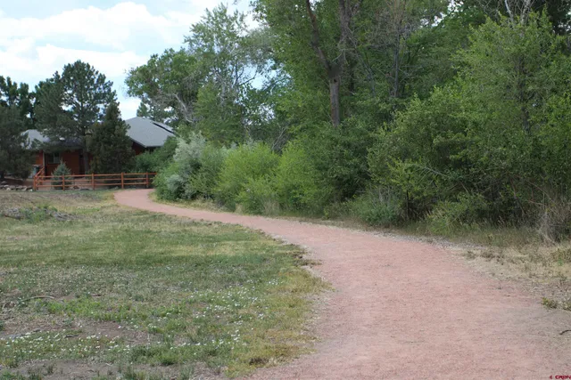 a view of a road with a yard