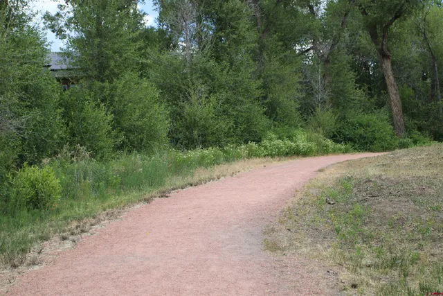 a view of dirt field and trees