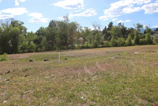 a view of outdoor space with field and trees
