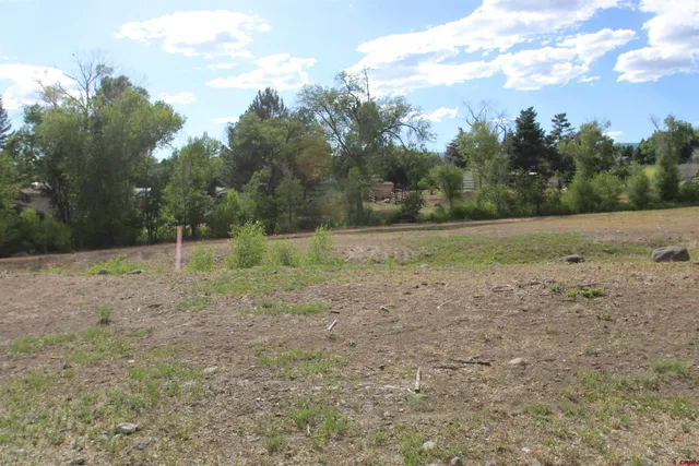 a view of a yard with an trees