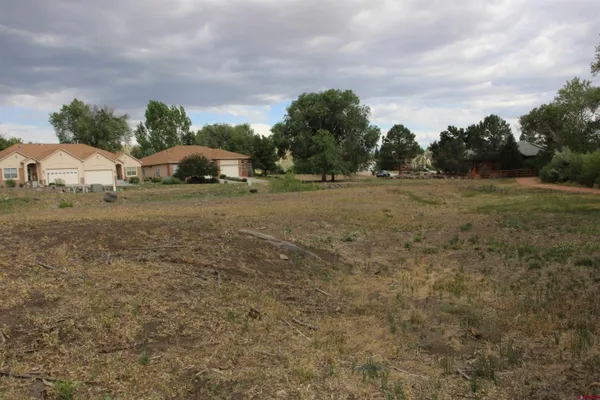 $58,000 | Lot 2-tbd Southeast Stonebridge Drive, Cedaredge, CO 81413