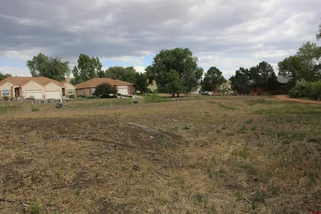 a view of a bench in a forest