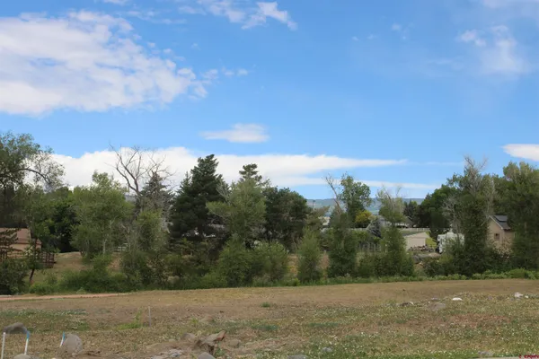 $58,000 | Lot 2-tbd Southeast Stonebridge Drive, Cedaredge, CO 81413