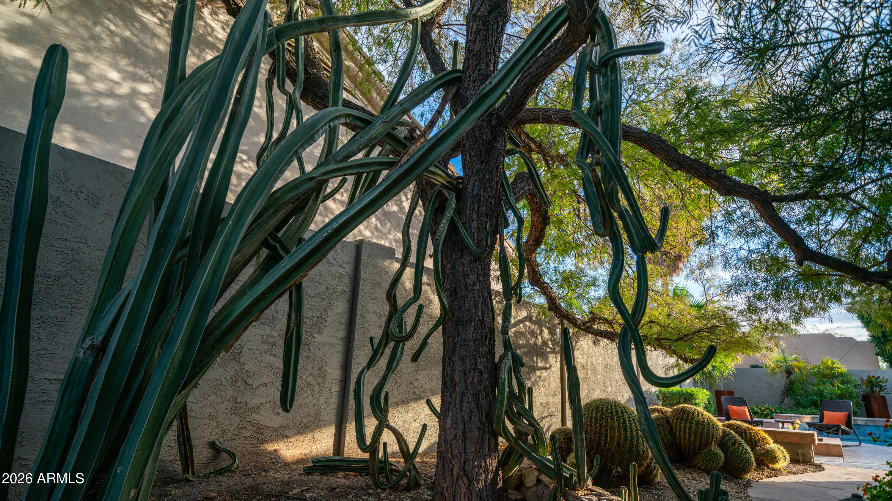 4055 North Recker Road, Unit 50 Mesa, AZ 85215 - Photo 62 of 77 Sideyard