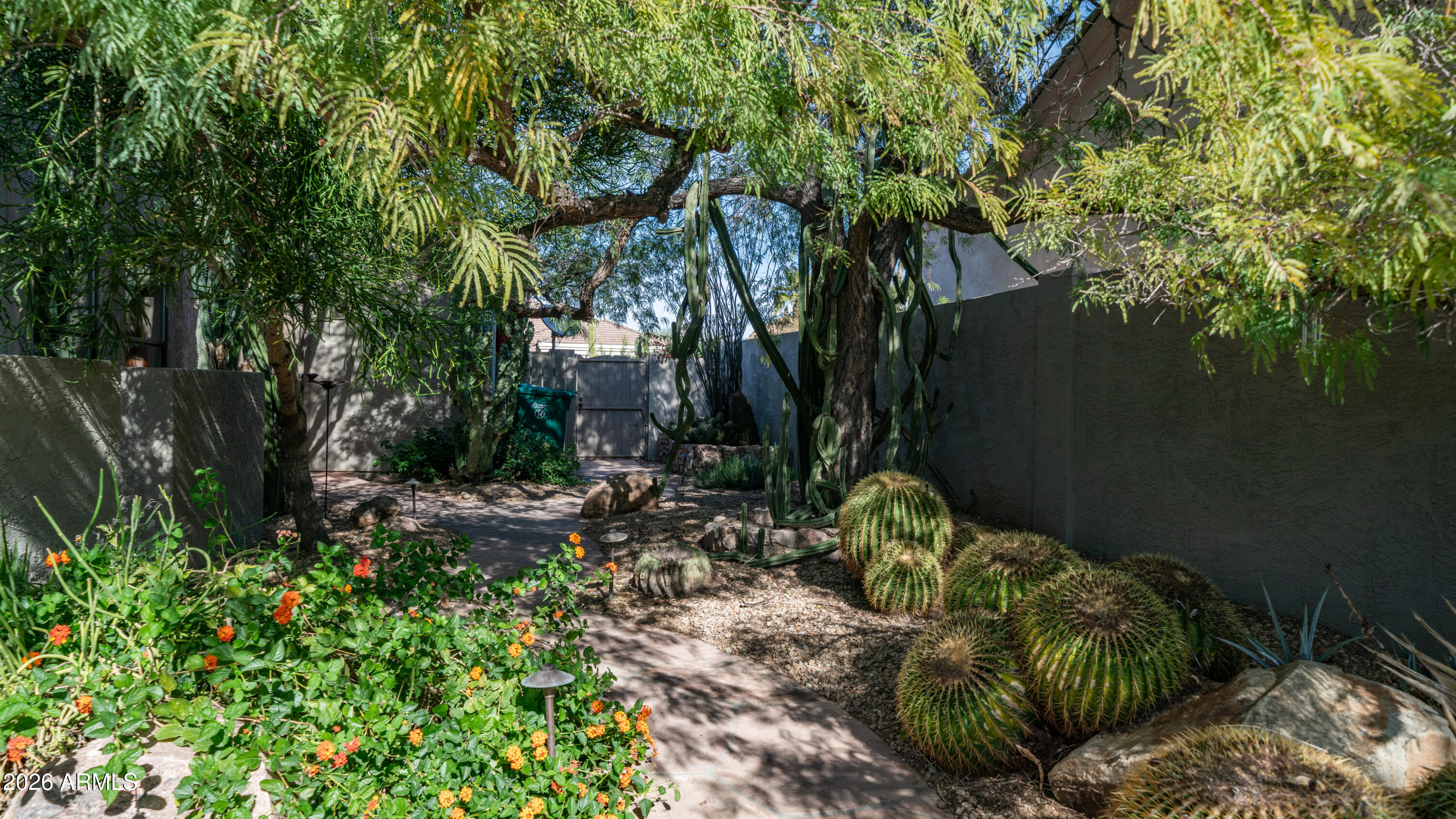 4055 North Recker Road, Unit 50 Mesa, AZ 85215 - Photo 63 of 77 a backyard of a house with lots of green space