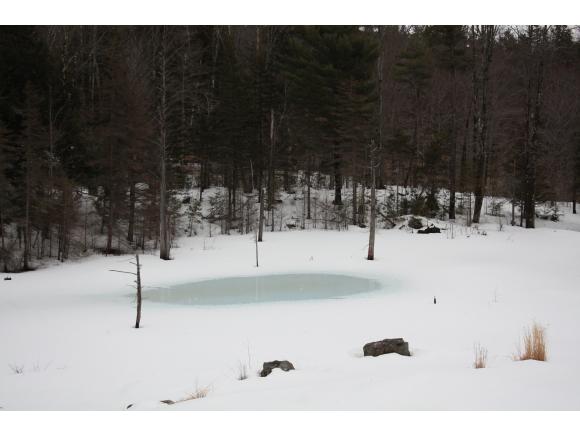 54 Toby Hill Road Newfane, VT 05351 - Photo 22 of 23