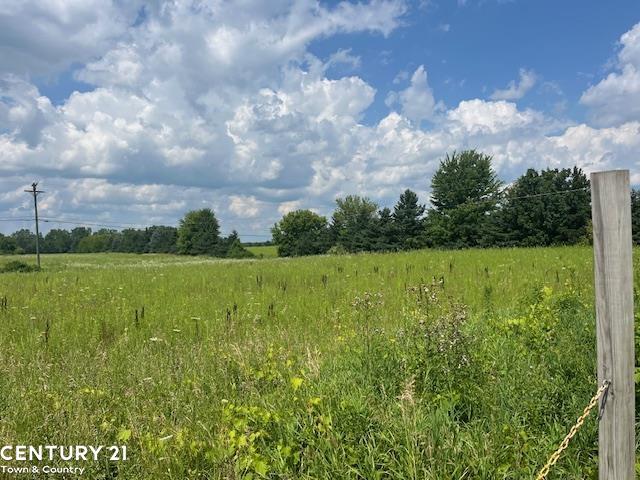 6839 Dryden Road Almont, MI 48003 - Photo 3 of 7