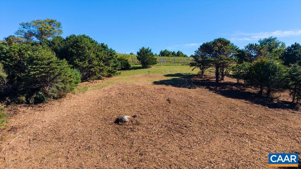 Lot 3 Twelve Rdgs Way, Unit 3 Vesuvius, VA 24483 - Photo 2 of 22 Gallery Image 2