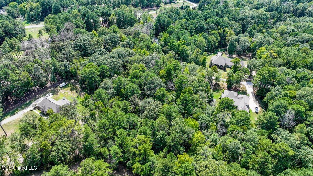 Ivy Lane Brandon, MS 39042 - Photo 15 of 26 12-Ivy Ln