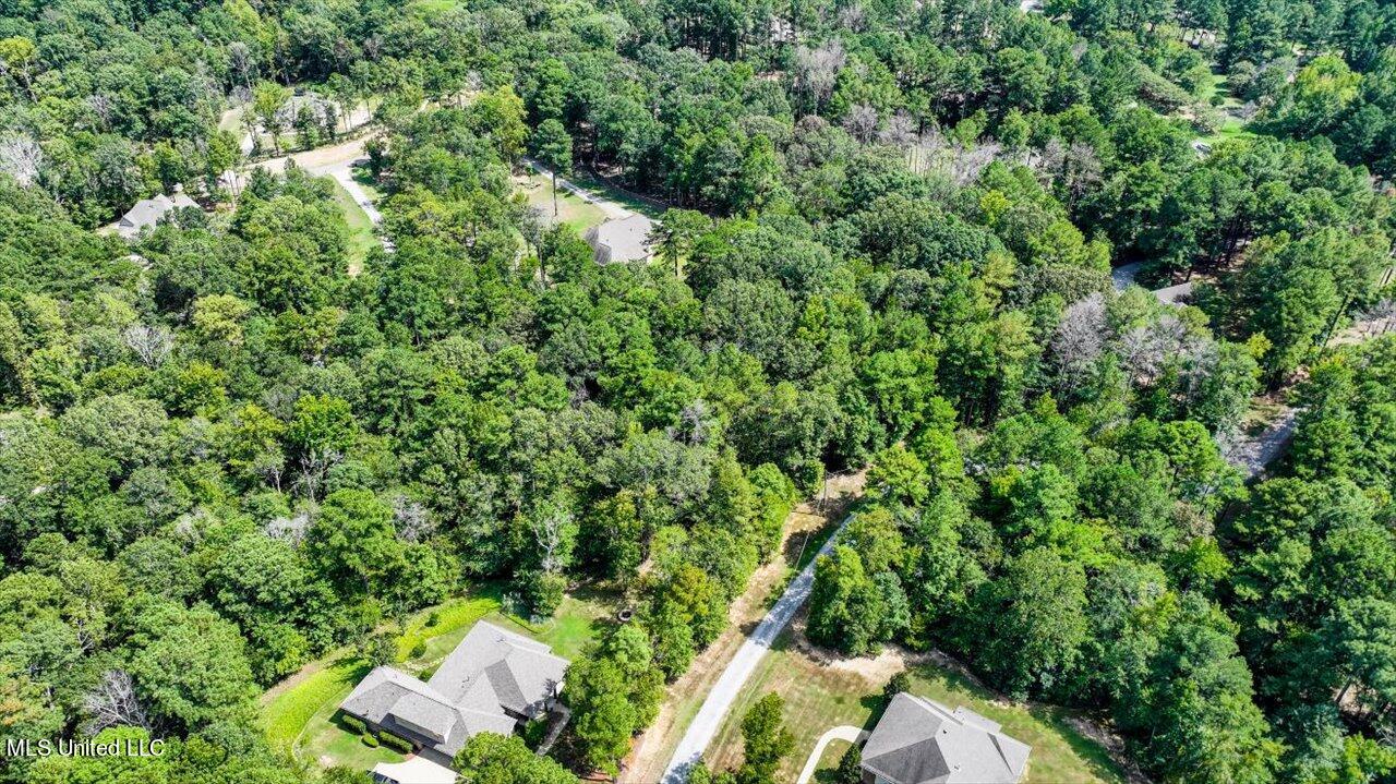 Ivy Lane Brandon, MS 39042 - Photo 17 of 26 14-Ivy Ln
