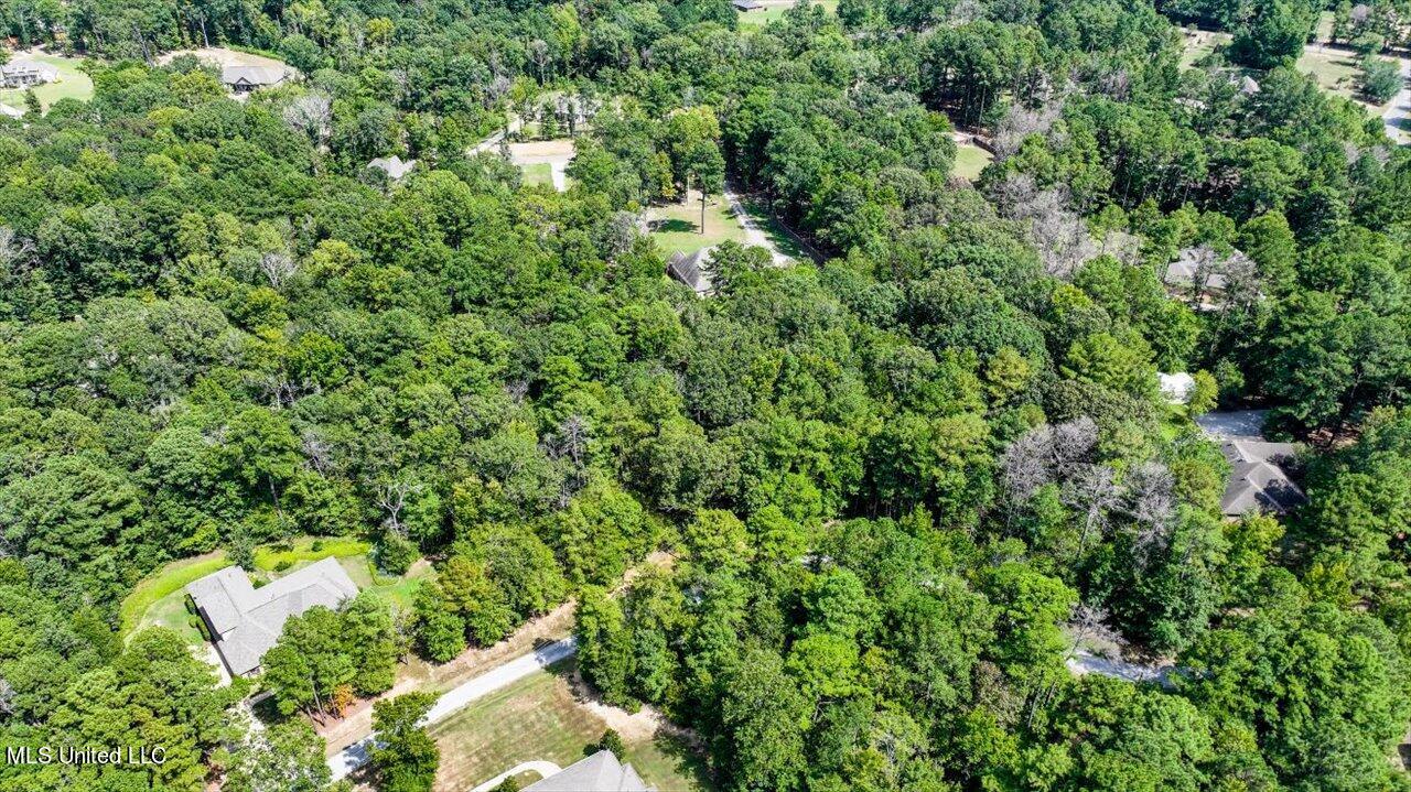 Ivy Lane Brandon, MS 39042 - Photo 18 of 26 15-Ivy Ln