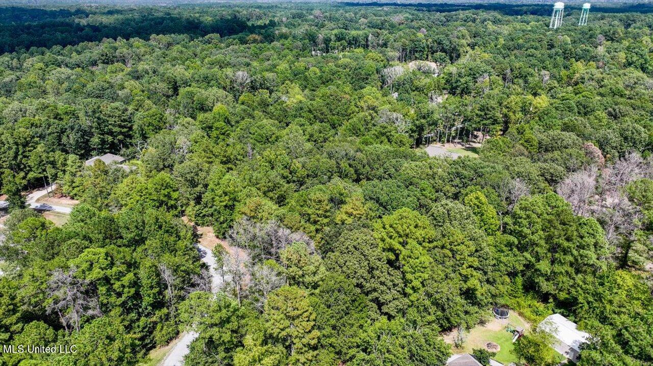Ivy Lane Brandon, MS 39042 - Photo 20 of 26 17-Ivy Ln