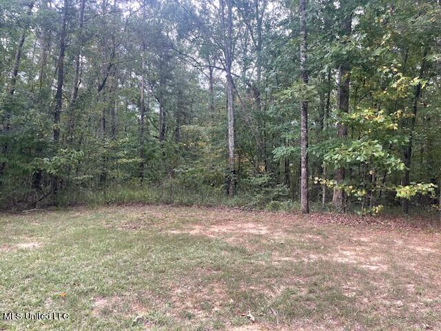 Ivy Lane Brandon, MS 39042 - Photo 2 of 26 IMG_8662