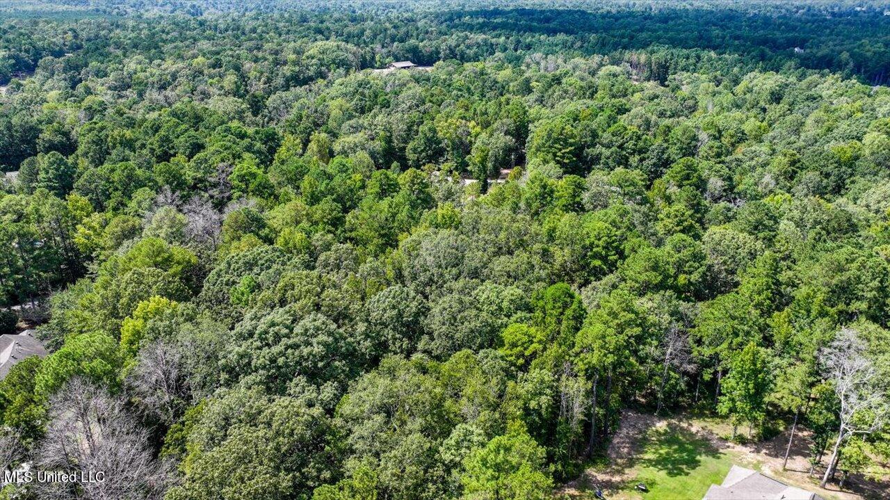 Ivy Lane Brandon, MS 39042 - Photo 21 of 26 18-Ivy Ln