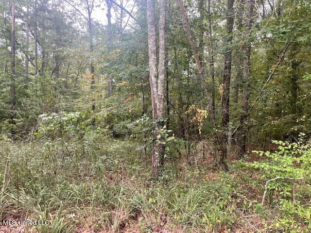 Ivy Lane Brandon, MS 39042 - Photo 3 of 26 IMG_8664