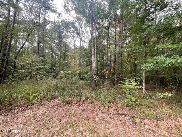 Ivy Lane Brandon, MS 39042 - Photo 4 of 26 IMG_8666