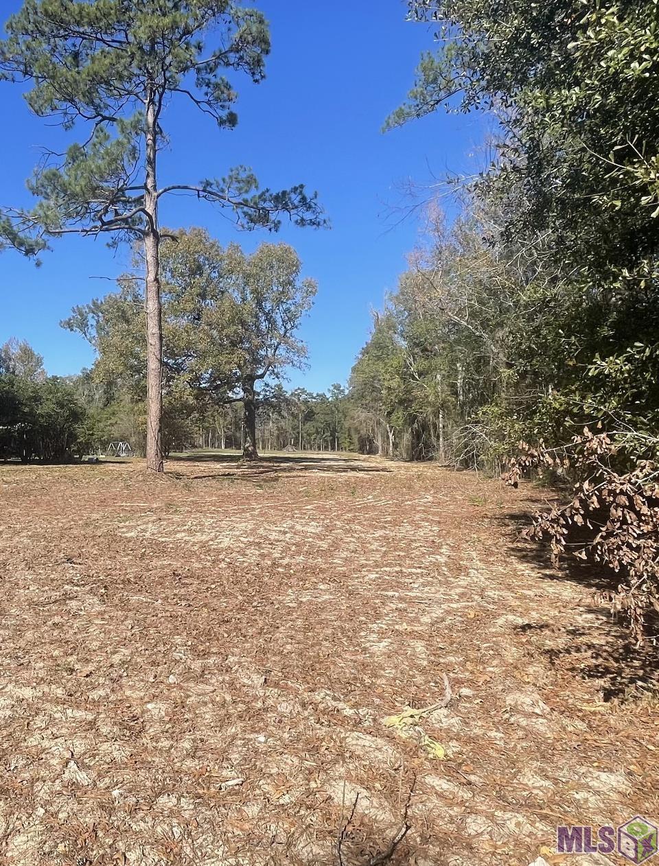 8629 Arnold Road Denham Springs, LA 70726 - Photo 3 of 9 Gallery Image 3