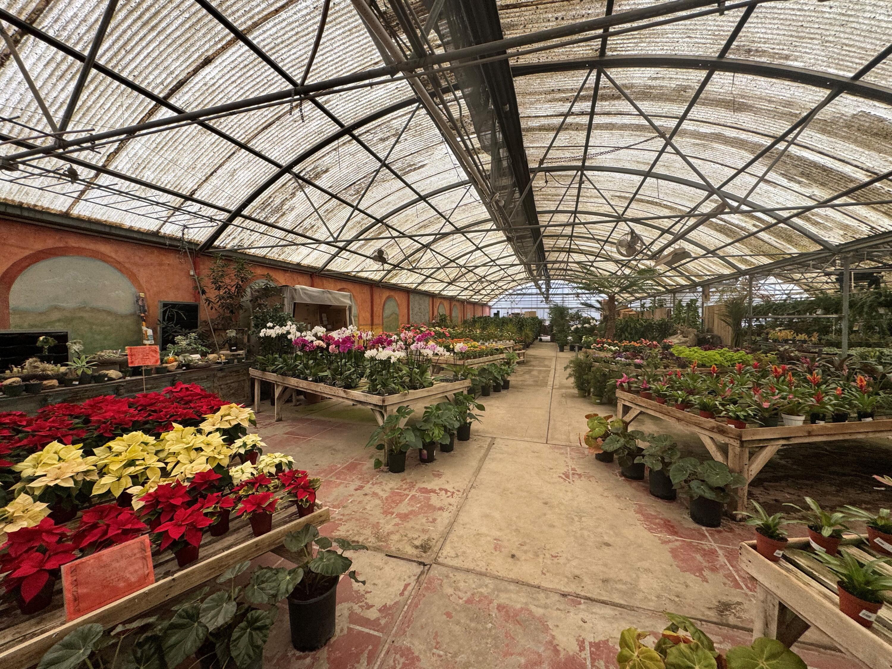 3376 Foothill Road Carpinteria, CA 93013 - Photo 15 of 60 Interior Retail Area