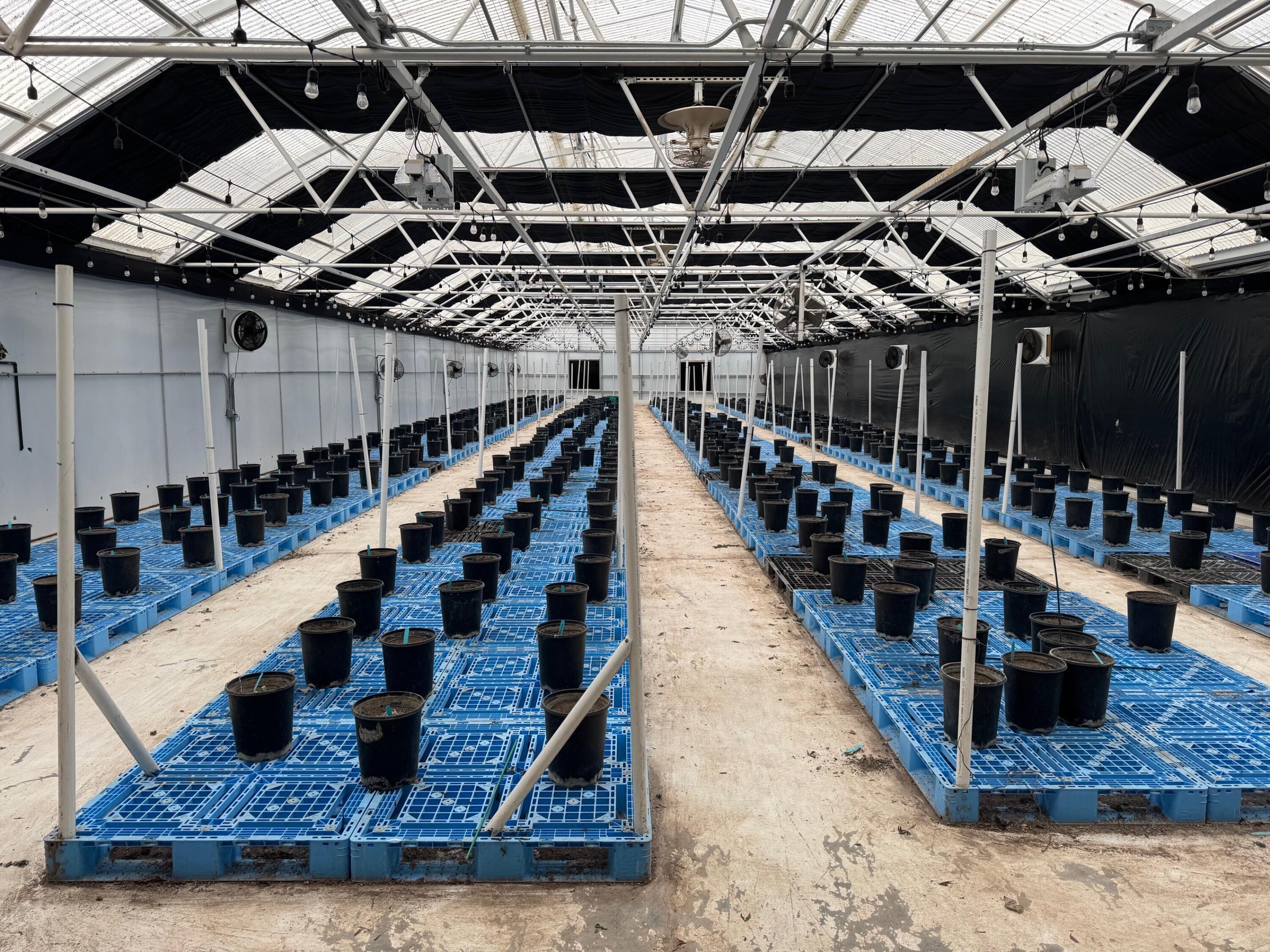 3376 Foothill Road Carpinteria, CA 93013 - Photo 21 of 60 Greenhouse