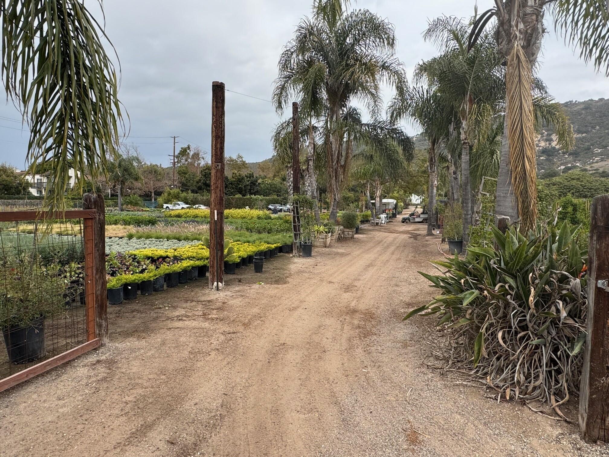 3376 Foothill Road Carpinteria, CA 93013 - Photo 35 of 60 Interior Roadway