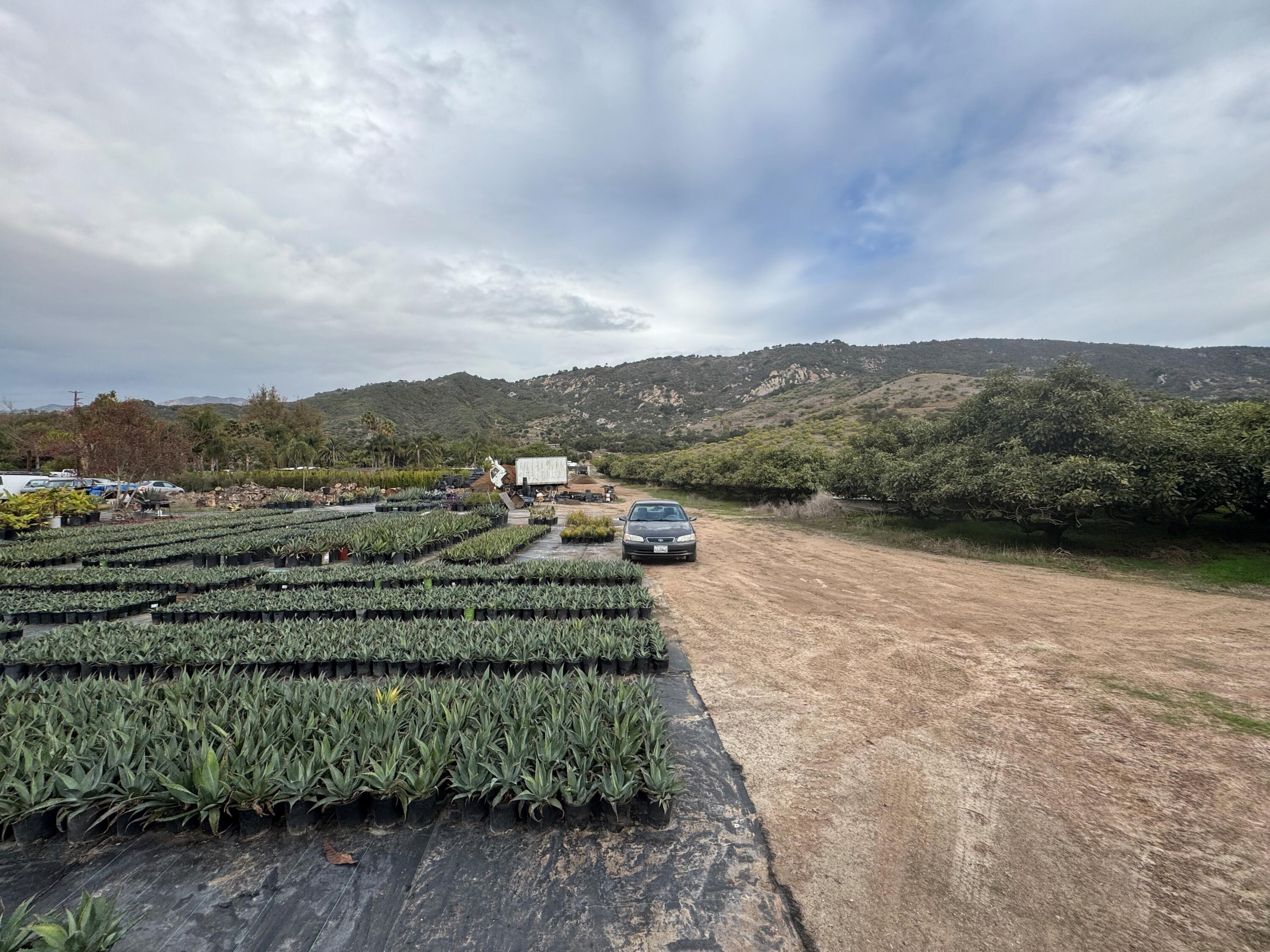 3376 Foothill Road Carpinteria, CA 93013 - Photo 36 of 60 Flat Area and Coastal Hills