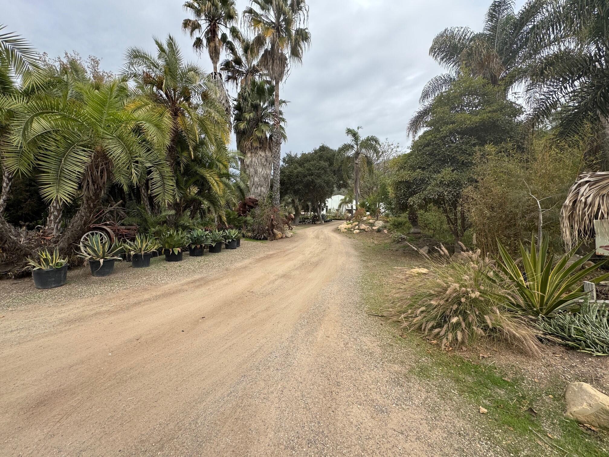 3376 Foothill Road Carpinteria, CA 93013 - Photo 37 of 60 Interior Access Road