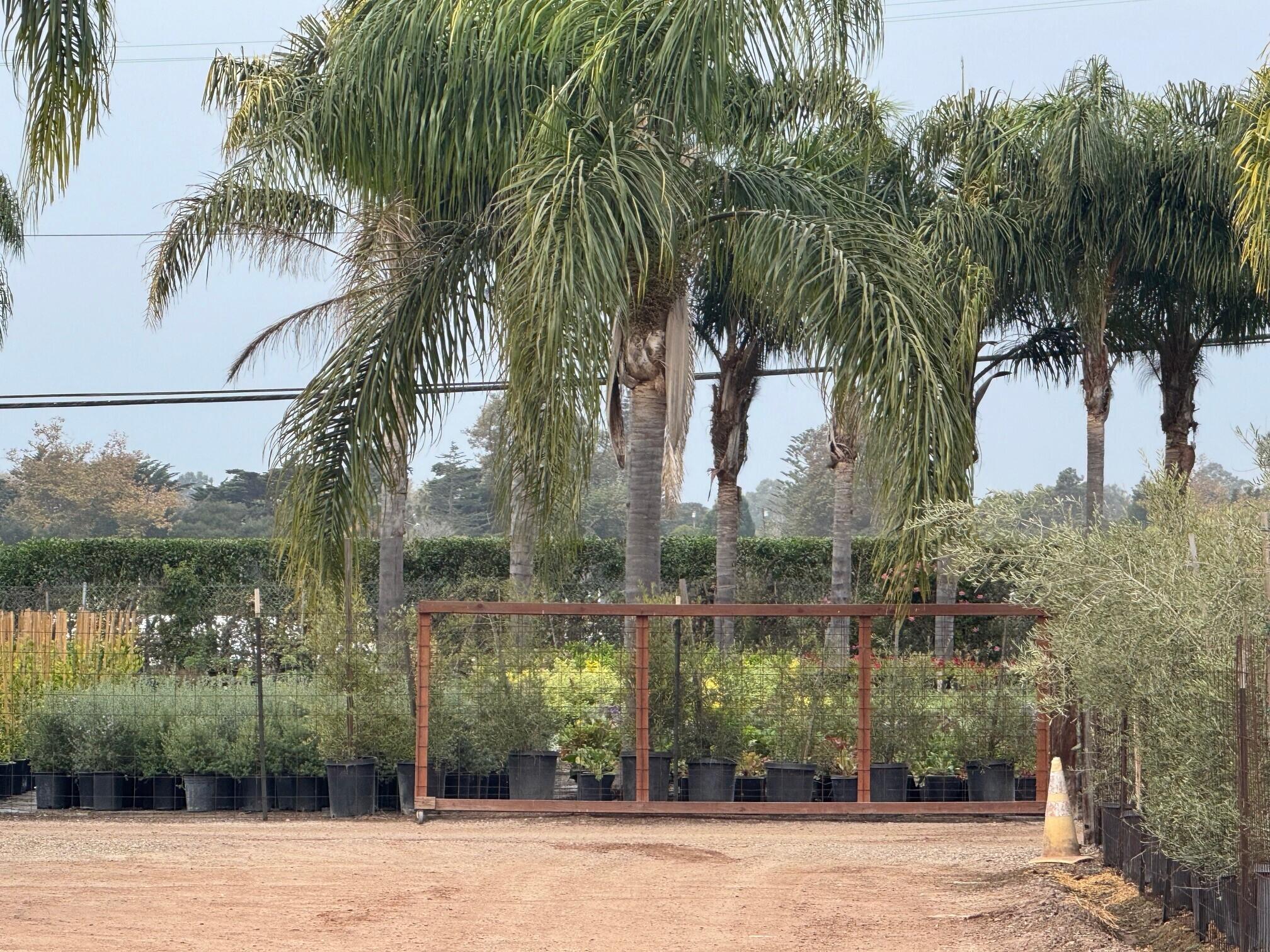 3376 Foothill Road Carpinteria, CA 93013 - Photo 38 of 60 Polo Fields Hedge