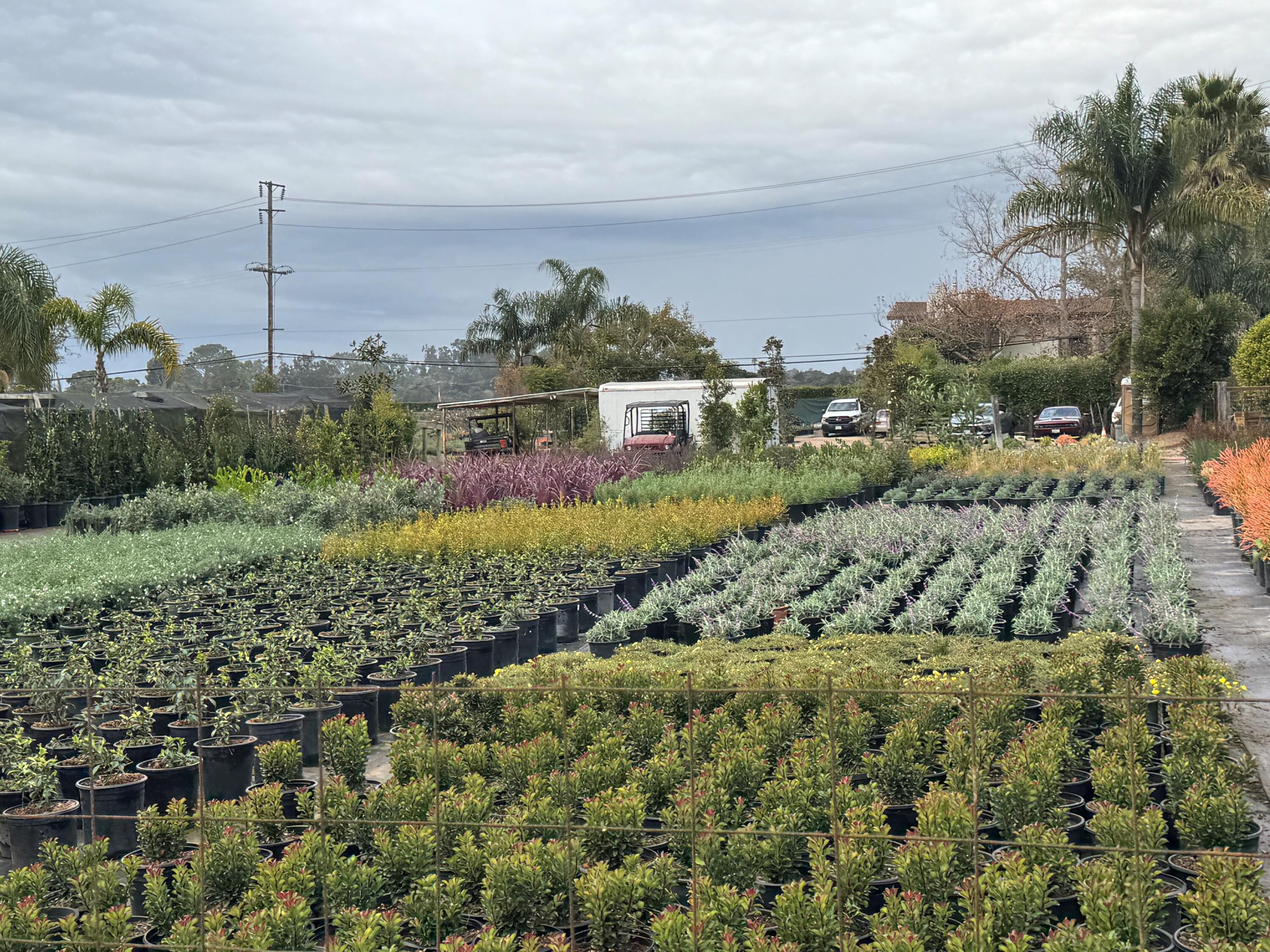 3376 Foothill Road Carpinteria, CA 93013 - Photo 42 of 60 Flat Looking Upcoast Across Foothill