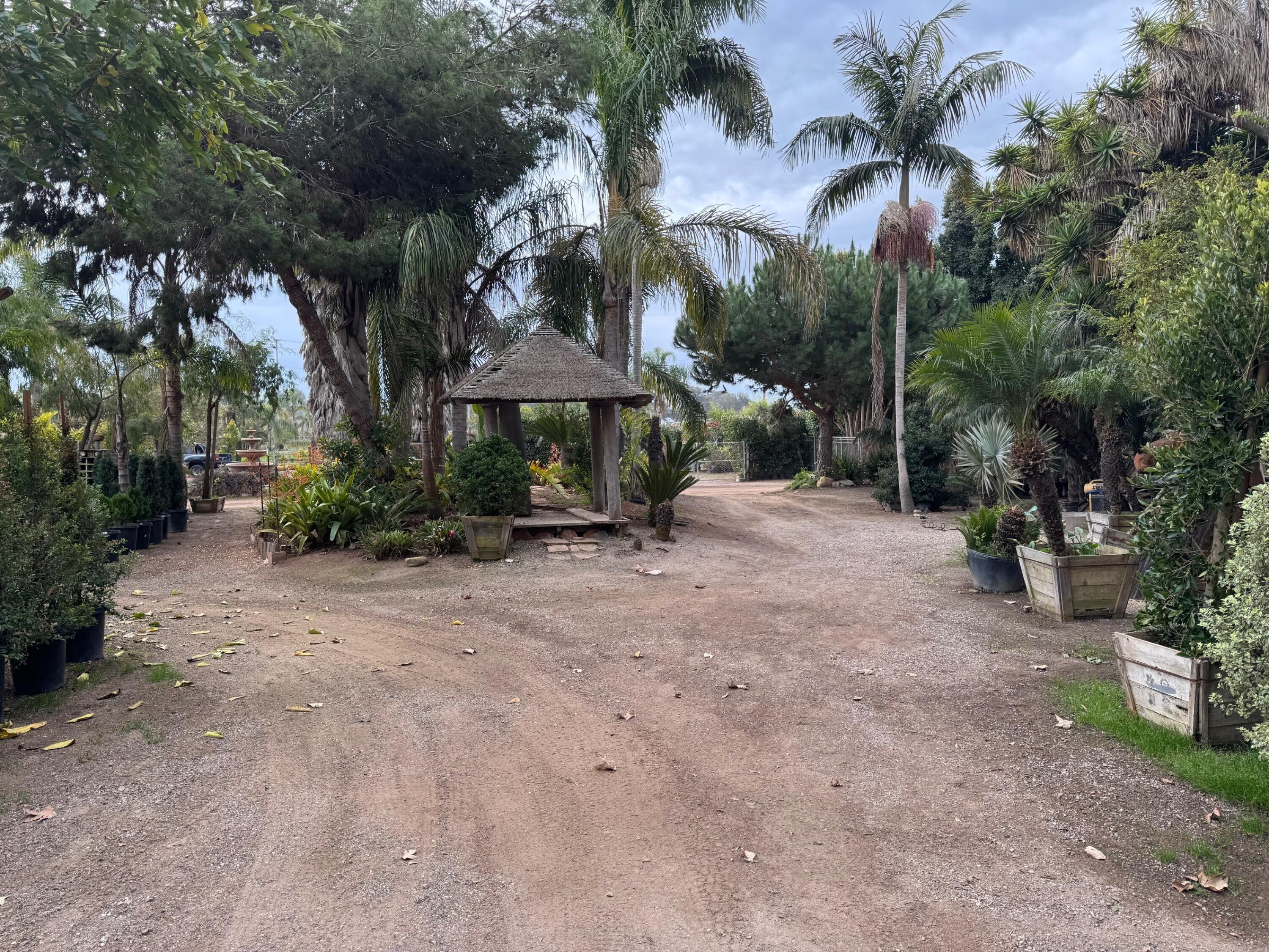 3376 Foothill Road Carpinteria, CA 93013 - Photo 46 of 60 Island View Nursery