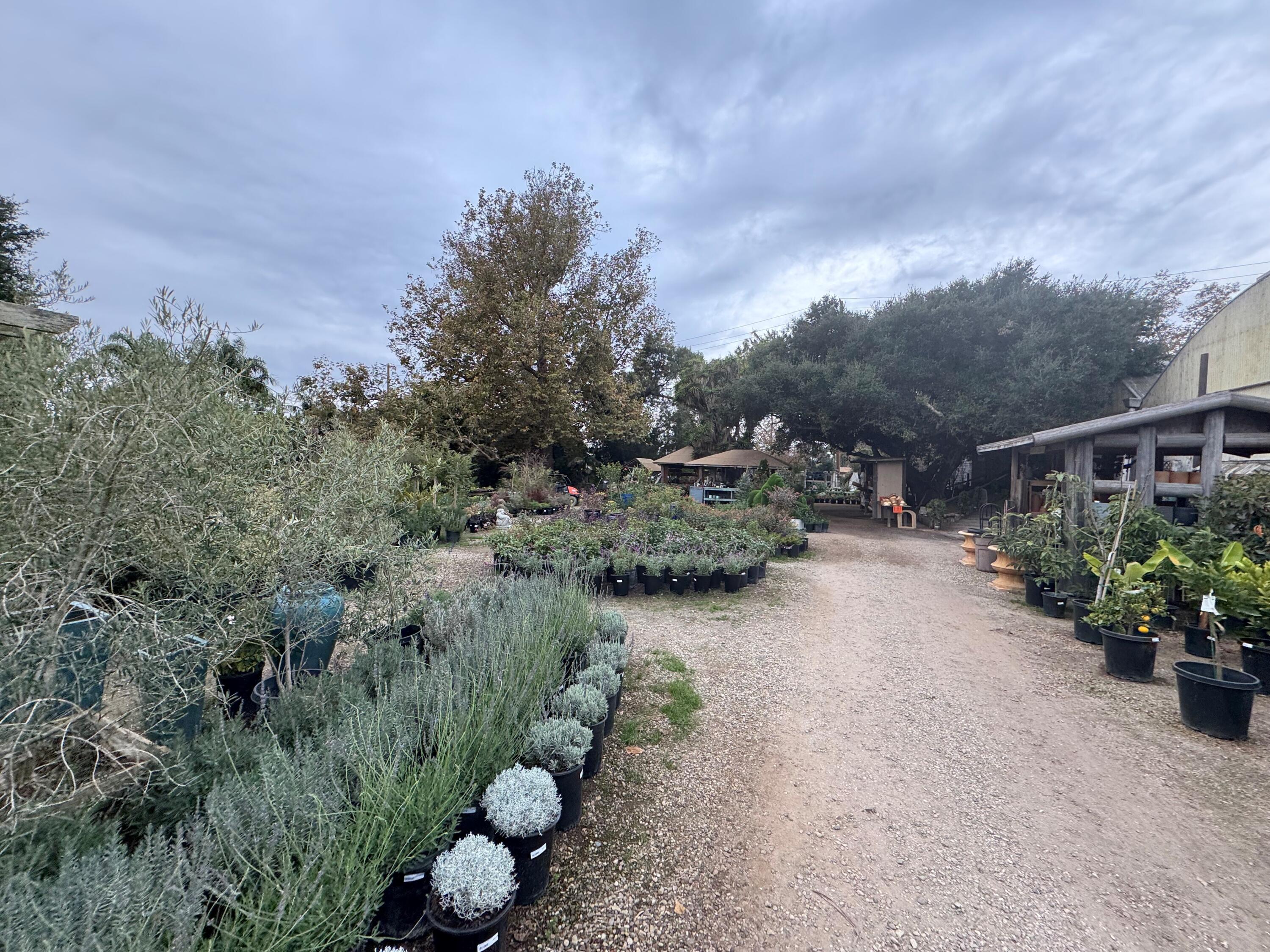 3376 Foothill Road Carpinteria, CA 93013 - Photo 53 of 60 Retail Gravel Roadway