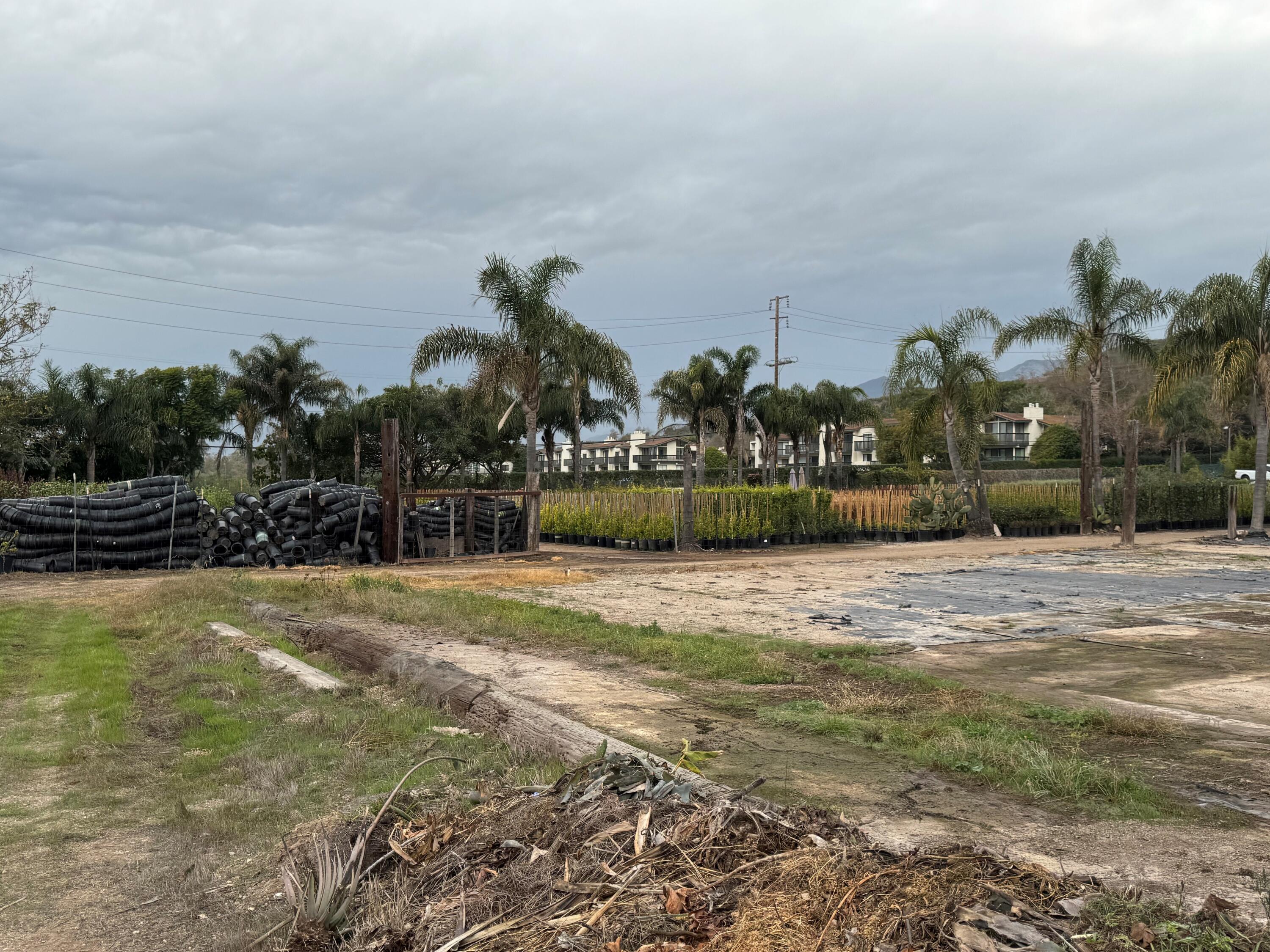 3376 Foothill Road Carpinteria, CA 93013 - Photo 58 of 60 Polo Condos and flat