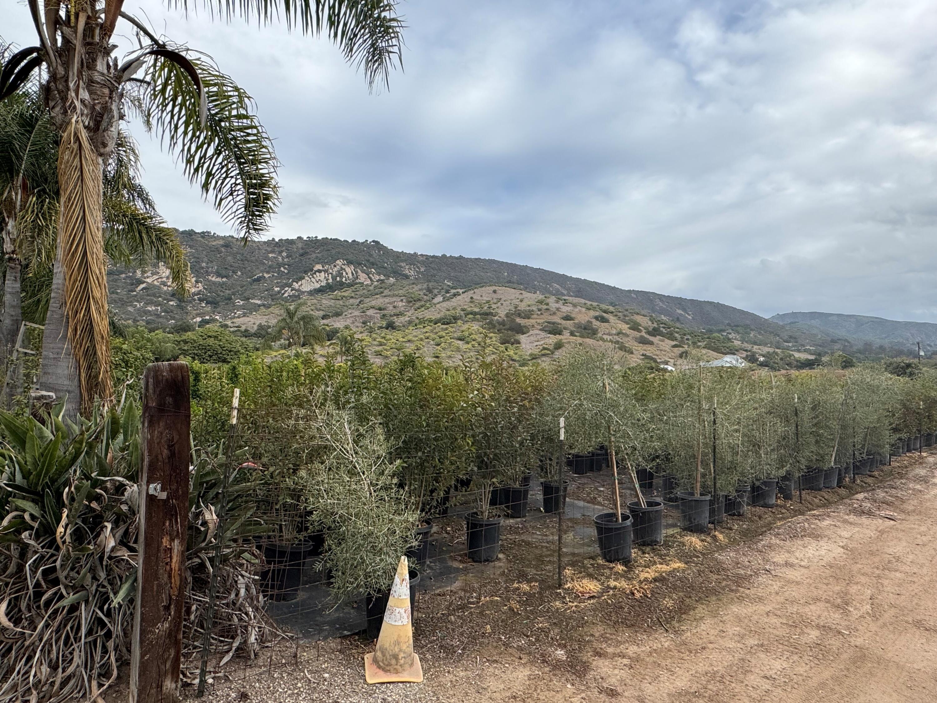 3376 Foothill Road Carpinteria, CA 93013 - Photo 59 of 60 Views of Coastal Range