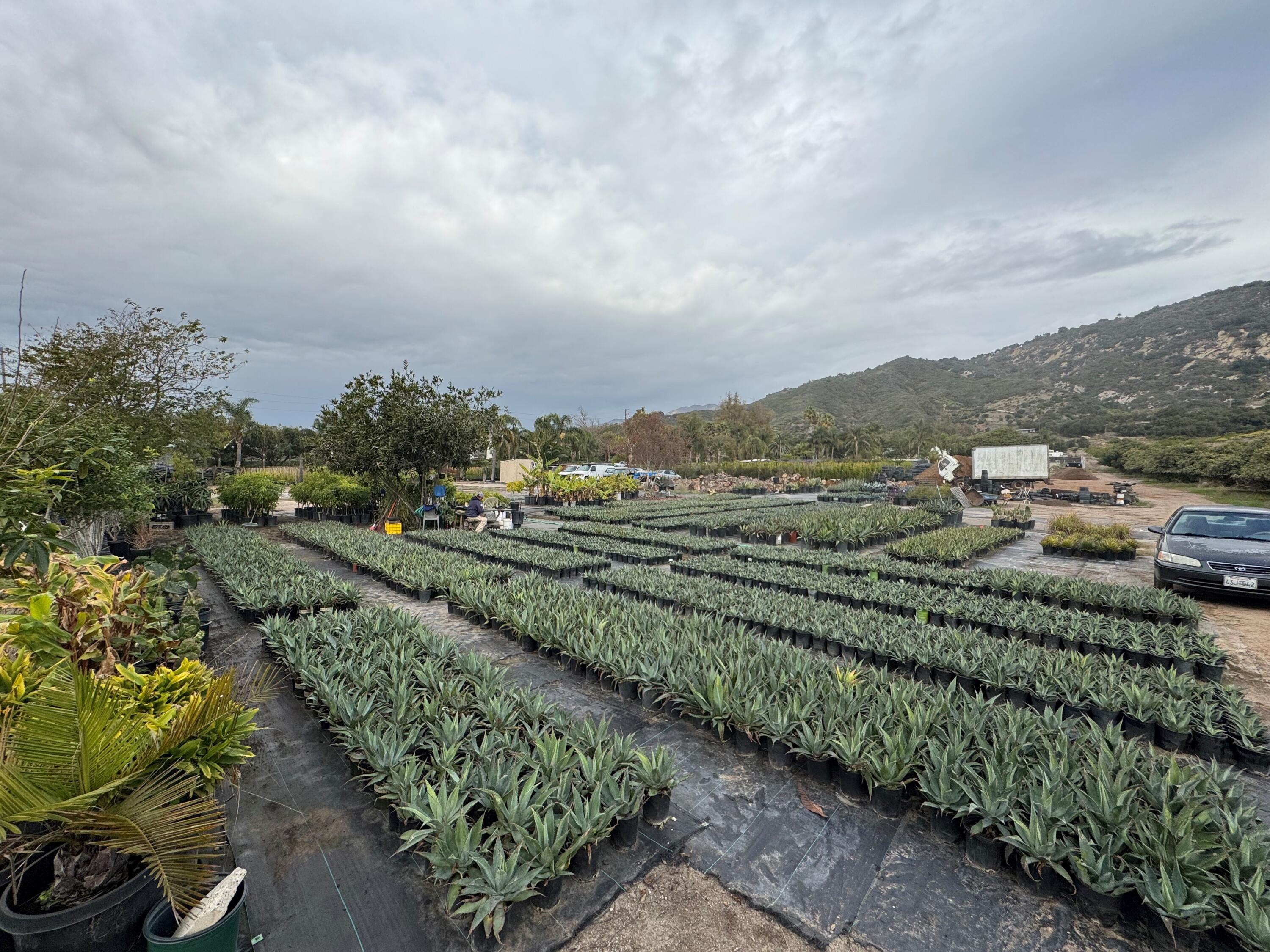 3376 Foothill Road Carpinteria, CA 93013 - Photo 7 of 60 Expansive Flat Usable Area