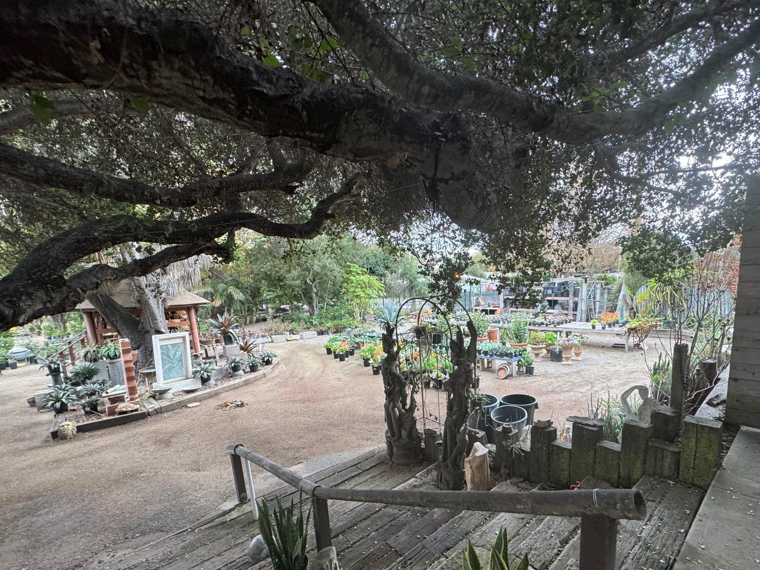 3376 Foothill Road Carpinteria, CA 93013 - Photo 9 of 60 Outside Retail Area