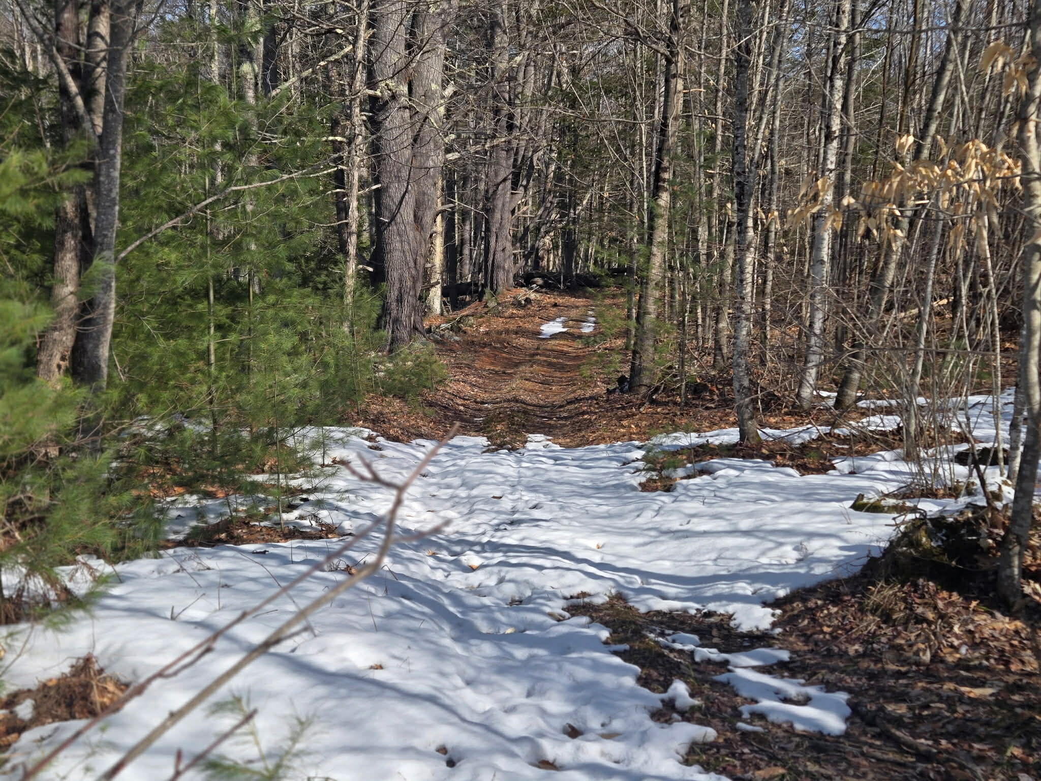 316 Pond Road Wayne, ME 04284 - Photo 144 of 147 5cd864b3-8add-4003-af4a-9e165504880f