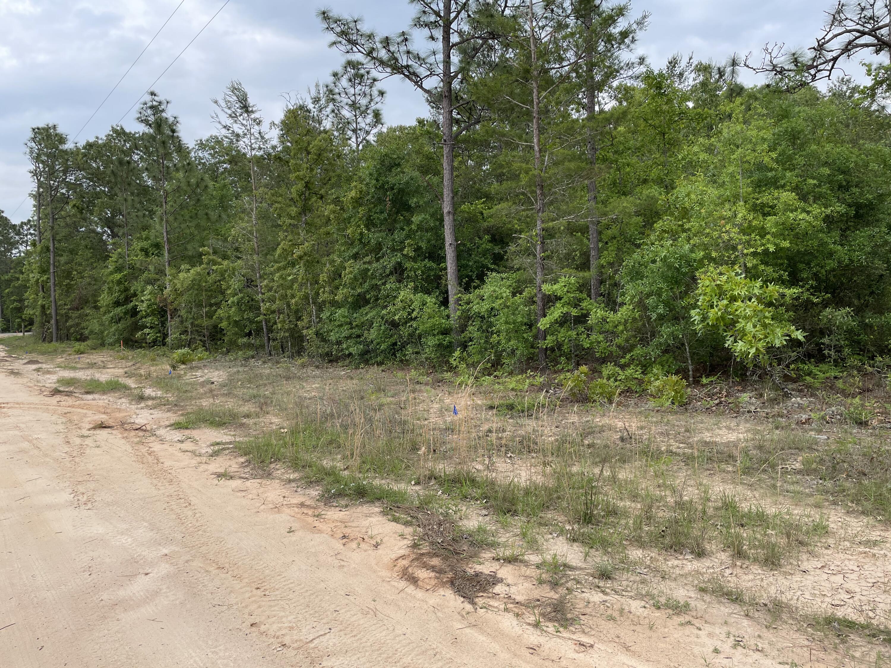 5.36-ac West Burnis Road Crestview, FL 32539 - Photo 3 of 8 a view of a yard with a tree