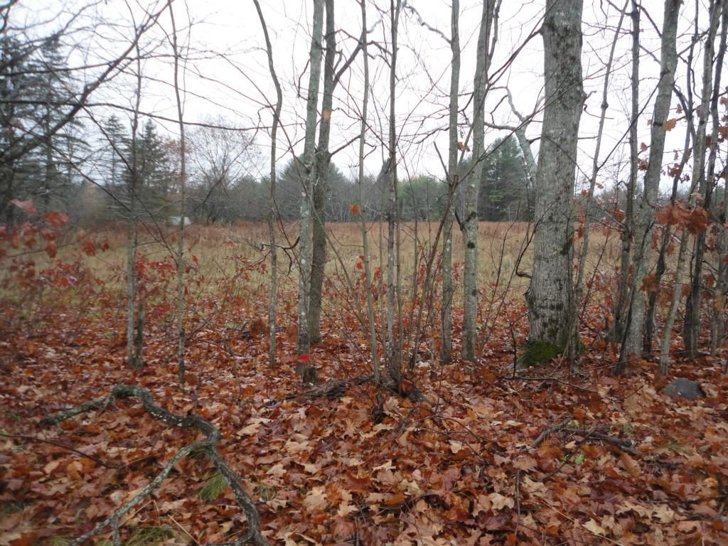 348 Corinna Center Road Corinna, ME 04928 - Photo 2 of 7 Photo